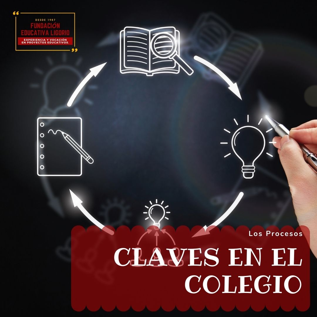 Los procesos Claves en el colegio